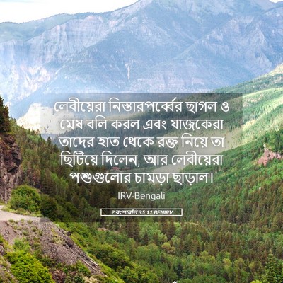 Picture 05 - 2 বংশাৱলি 35:11 BENIRV - লেবীয়েরা - Bible Verse Picture