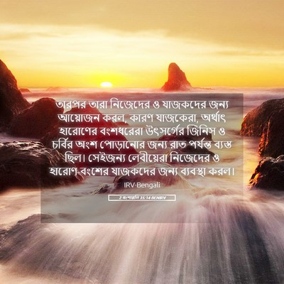 Picture 05 - 2 বংশাৱলি 35:14 BENIRV - তারপর তারা - Bible Verse Picture