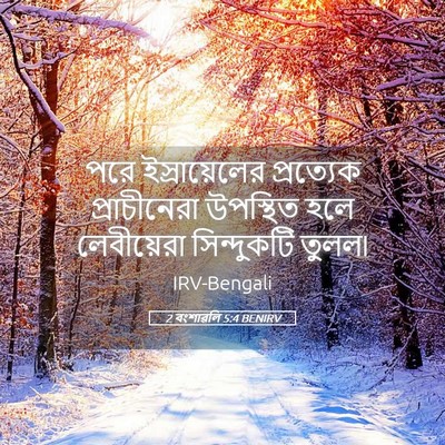 Picture 05 - 2 বংশাৱলি 5:4 BENIRV - পরে ইস্রায়েলের - Bible Verse Picture