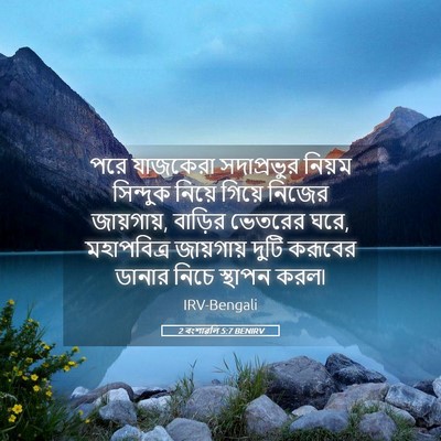 Picture 05 - 2 বংশাৱলি 5:7 BENIRV - পরে যাজকেরা - Bible Verse Picture