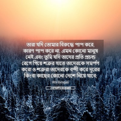 Picture 05 - 2 বংশাৱলি 6:36 BENIRV - তারা যদি তোমার - Bible Verse Picture