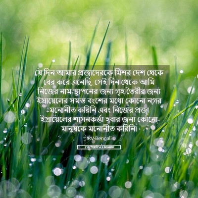 Picture 05 - 2 বংশাৱলি 6:5 BENIRV - যে দিন আমার - Bible Verse Picture