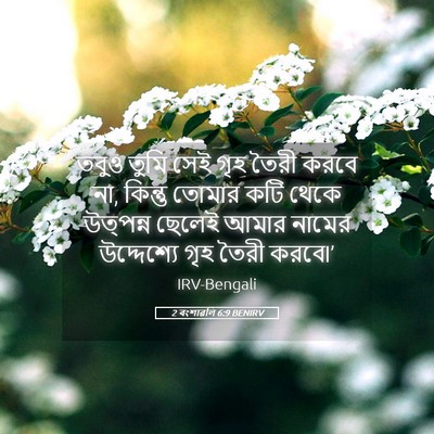 Picture 05 - 2 বংশাৱলি 6:9 BENIRV - তবুও তুমি সেই গৃহ - Bible Verse Picture