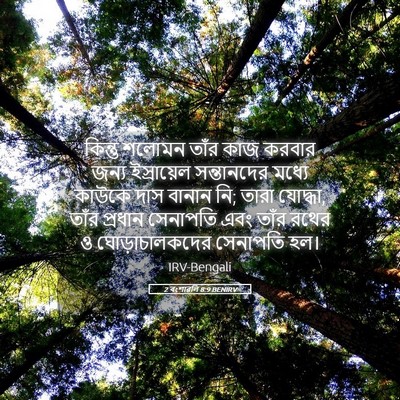 Picture 05 - 2 বংশাৱলি 8:9 BENIRV - কিন্তু শলোমন তাঁর - Bible Verse Picture