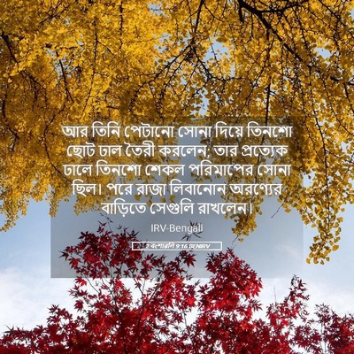 Picture 05 - 2 বংশাৱলি 9:16 BENIRV - আর তিনি পেটানো - Bible Verse Picture