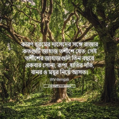 Picture 05 - 2 বংশাৱলি 9:21 BENIRV - কারণ হূরমের - Bible Verse Picture