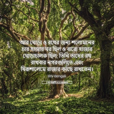 Picture 05 - 2 বংশাৱলি 9:25 BENIRV - আর ঘোড়া ও রথের - Bible Verse Picture
