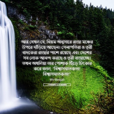 Picture 05 - 2 ৰাজাৱলি 11:14 BENIRV - আর দেখল যে, নিয়ম - Bible Verse Picture