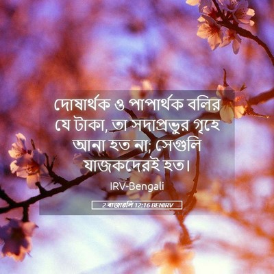 Picture 05 - 2 ৰাজাৱলি 12:16 BENIRV - দোষার্থক ও - Bible Verse Picture
