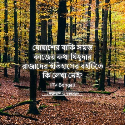 Picture 05 - 2 ৰাজাৱলি 12:19 BENIRV - যোয়াশের বাকি - Bible Verse Picture