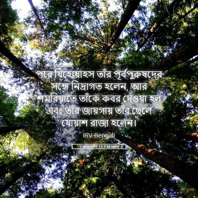 Picture 05 - 2 ৰাজাৱলি 13:9 BENIRV - পরে যিহোয়াহস - Bible Verse Picture