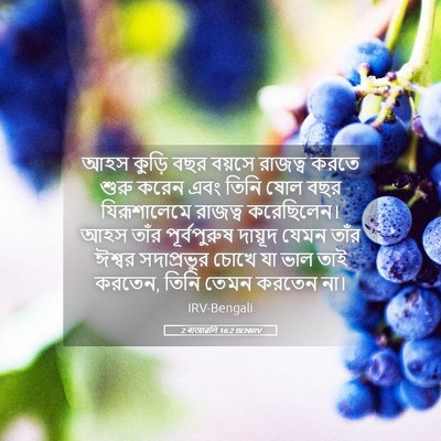 Picture 05 - 2 ৰাজাৱলি 16:2 BENIRV - আহস কুড়ি বছর - Bible Verse Picture