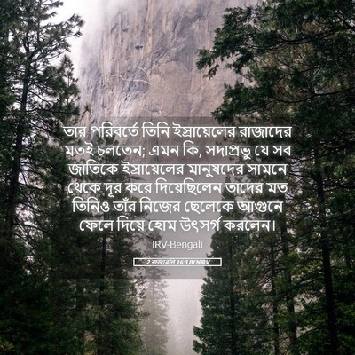 Picture 05 - 2 ৰাজাৱলি 16:3 BENIRV - তার পরিবর্তে তিনি - Bible Verse Picture