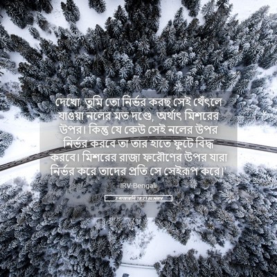 Picture 05 - 2 ৰাজাৱলি 18:21 BENIRV - দেখো, তুমি তো - Bible Verse Picture