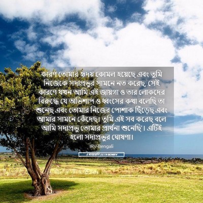 Picture 05 - 2 ৰাজাৱলি 22:19 BENIRV - কারণ তোমার হৃদয় - Bible Verse Picture