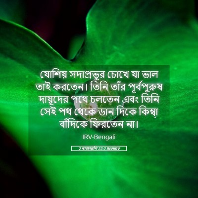 Picture 05 - 2 ৰাজাৱলি 22:2 BENIRV - যোশিয় সদাপ্রভুর - Bible Verse Picture