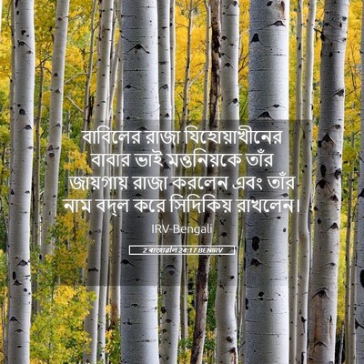 Picture 05 - 2 ৰাজাৱলি 24:17 BENIRV - বাবিলের রাজা - Bible Verse Picture