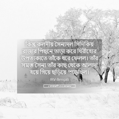 Picture 05 - 2 ৰাজাৱলি 25:5 BENIRV - কিন্তু কলদীয় - Bible Verse Picture
