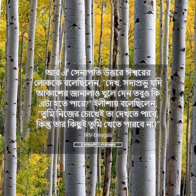 Picture 05 - 2 ৰাজাৱলি 7:19 BENIRV - আর ঐ সেনাপতি - Bible Verse Picture