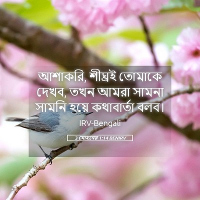 Picture 05 - 3 যোহনের 1:14 BENIRV - আশাকরি, শীঘ্রই - Bible Verse Picture