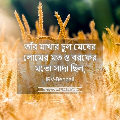 Picture 05 - पপ্রত্যাদেশ 1:14 BENIRV - তাঁর মাথার চুল - Bible Verse Picture