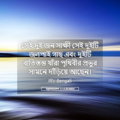 Picture 05 - पপ্রত্যাদেশ 11:4 BENIRV - সেই দুই জন সাক্ষী - Bible Verse Picture