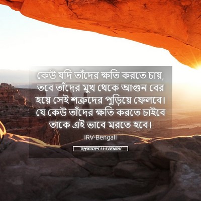 Picture 05 - पপ্রত্যাদেশ 11:5 BENIRV - কেউ যদি তাঁদের - Bible Verse Picture