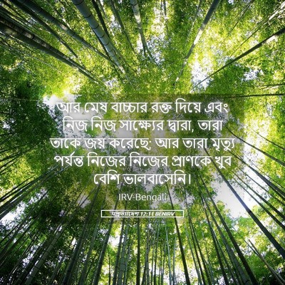Picture 05 - पপ্রত্যাদেশ 12:11 BENIRV - আর মেষ বাচ্চার - Bible Verse Picture