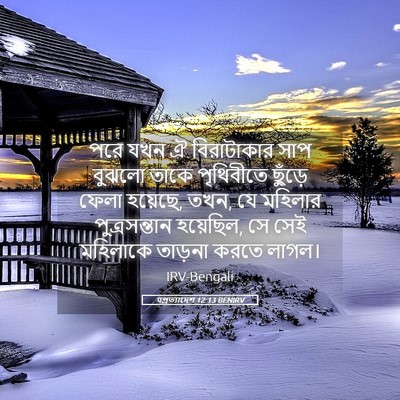 Picture 05 - पপ্রত্যাদেশ 12:13 BENIRV - পরে যখন ঐ - Bible Verse Picture
