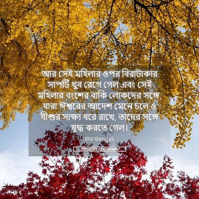 Picture 05 - पপ্রত্যাদেশ 12:17 BENIRV - আর সেই মহিলার ওপর - Bible Verse Picture