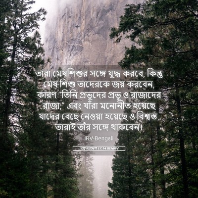 Picture 05 - पপ্রত্যাদেশ 17:14 BENIRV - তারা মেষশিশুর - Bible Verse Picture
