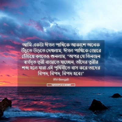 Picture 05 - पপ্রত্যাদেশ 8:13 BENIRV - আমি একটা ঈগল - Bible Verse Picture
