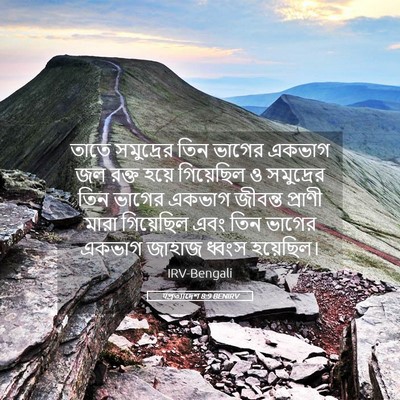Picture 05 - पপ্রত্যাদেশ 8:9 BENIRV - তাতে সমুদ্রের তিন - Bible Verse Picture