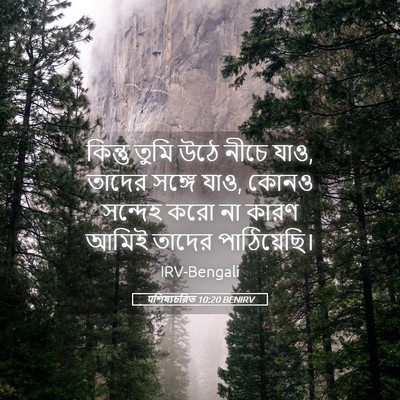 Picture 05 - पশিষ্যচরিত 10:20 BENIRV - কিন্তু তুমি উঠে - Bible Verse Picture