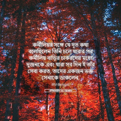 Picture 05 - पশিষ্যচরিত 10:7 BENIRV - কর্নীলিয়র সঙ্গে - Bible Verse Picture