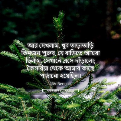 Picture 05 - पশিষ্যচরিত 11:11 BENIRV - আর দেখলাম, খুব - Bible Verse Picture
