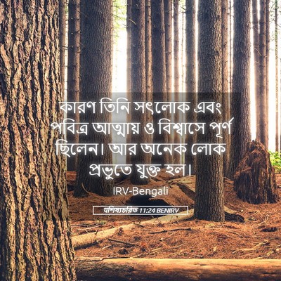Picture 05 - पশিষ্যচরিত 11:24 BENIRV - কারণ তিনি সৎলোক - Bible Verse Picture