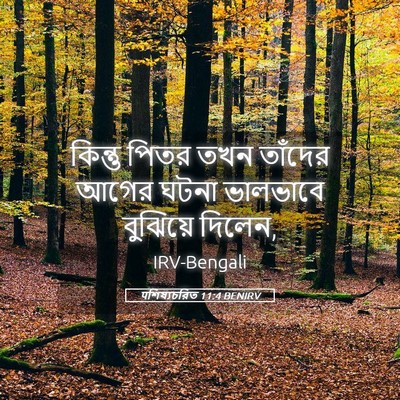 Picture 05 - पশিষ্যচরিত 11:4 BENIRV - কিন্তু পিতর তখন - Bible Verse Picture