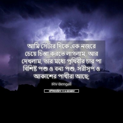 Picture 05 - पশিষ্যচরিত 11:6 BENIRV - আমি সেটার দিকে এক - Bible Verse Picture