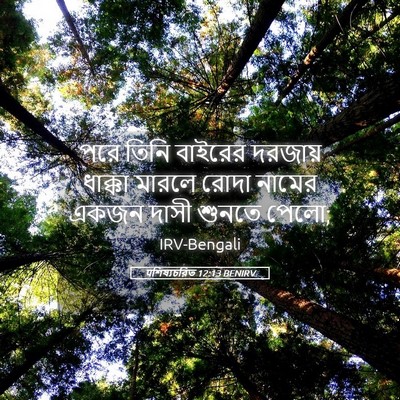 Picture 05 - पশিষ্যচরিত 12:13 BENIRV - পরে তিনি বাইরের - Bible Verse Picture