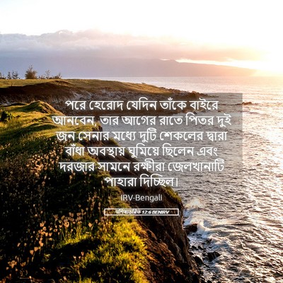 Picture 05 - पশিষ্যচরিত 12:6 BENIRV - পরে হেরোদ যেদিন - Bible Verse Picture