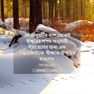 Picture 05 - पশিষ্যচরিত 13:23 BENIRV - এই মানুষটির বংশ - Bible Verse Picture