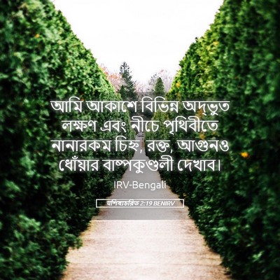 Picture 05 - पশিষ্যচরিত 2:19 BENIRV - আমি আকাশে বিভিন্ন - Bible Verse Picture
