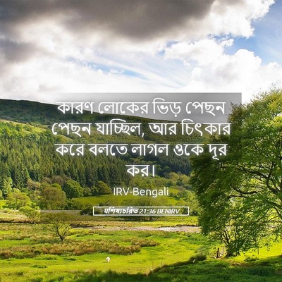 Picture 05 - पশিষ্যচরিত 21:36 BENIRV - কারণ লোকের ভিড় - Bible Verse Picture