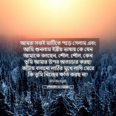 Picture 05 - पশিষ্যচরিত 26:14 BENIRV - আমরা সবাই মাটিতে - Bible Verse Picture