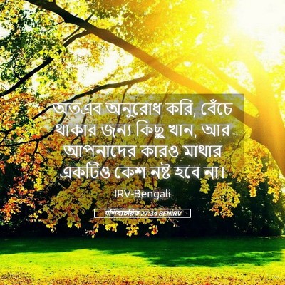 Picture 05 - पশিষ্যচরিত 27:34 BENIRV - অতএব অনুরোধ করি, - Bible Verse Picture