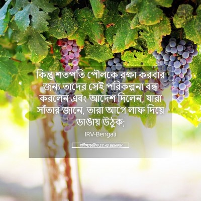 Picture 05 - पশিষ্যচরিত 27:43 BENIRV - কিন্তু শতপতি - Bible Verse Picture