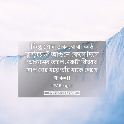 Picture 05 - पশিষ্যচরিত 28:3 BENIRV - কিন্তু পৌল এক বোঝা - Bible Verse Picture