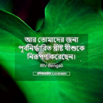 Picture 05 - पশিষ্যচরিত 3:20 BENIRV - আর তোমাদের জন্য - Bible Verse Picture