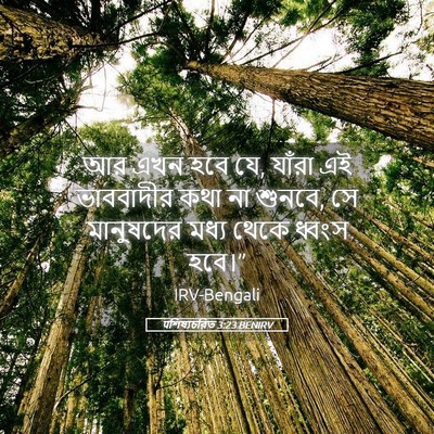 Picture 05 - पশিষ্যচরিত 3:23 BENIRV - আর এখন হবে যে, - Bible Verse Picture